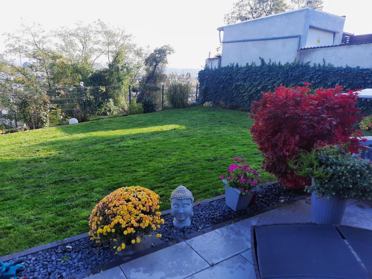 Rheinblick